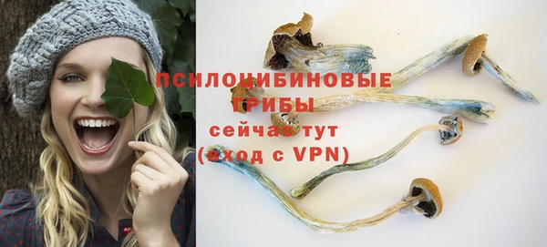 ГАЛЛЮЦИНОГЕННЫЕ ГРИБЫ Зеленокумск
