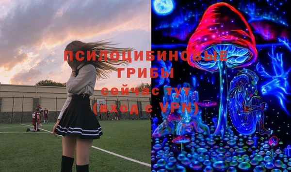 ГАЛЛЮЦИНОГЕННЫЕ ГРИБЫ Зеленокумск