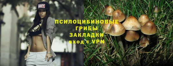 2c-b Зеленодольск