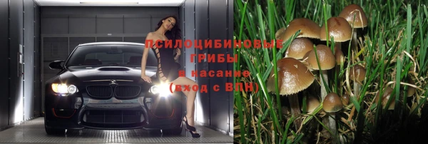 2c-b Зеленодольск